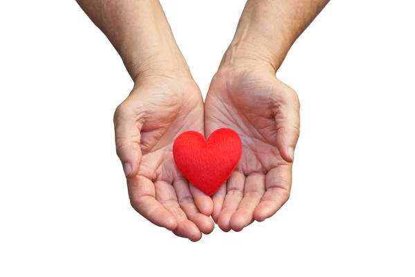 Female hands holding red heart — Stok fotoğraf