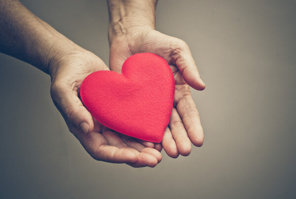 female hands holding red heart
