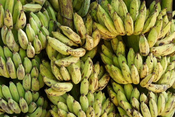 Банча зеленых бананов — стоковое фото