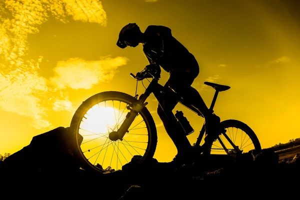 Ciclista con su bicicleta de montaña — Foto de Stock