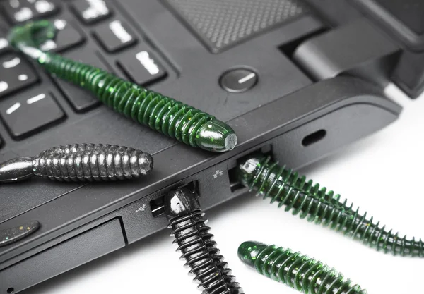 Computer worm attacking computer — Stock Photo, Image