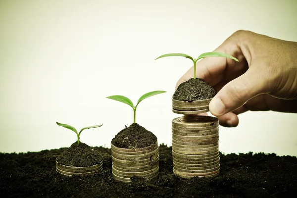 Hand holding stack of golden coins with young green trees — Stock Photo, Image