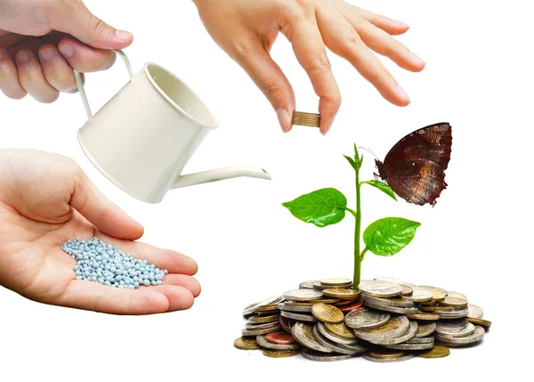 Hands helping planting trees growing — Stock Photo, Image
