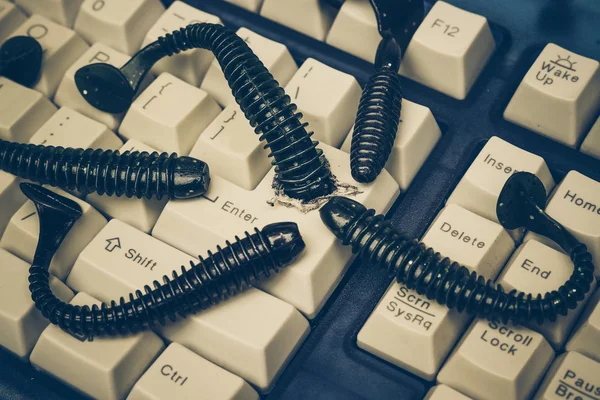 Worm computador atacando sistema de computador — Fotografia de Stock