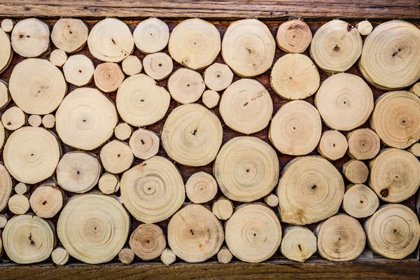 Round teak wooden  stumps — Stock Photo, Image