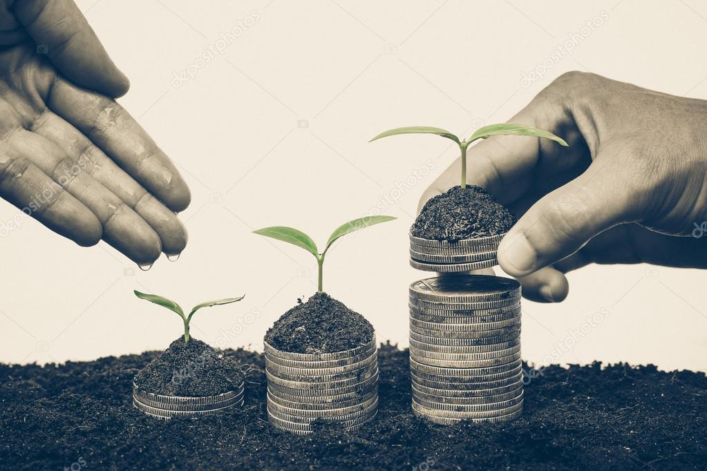 Hand holding stack of golden coins with young green trees