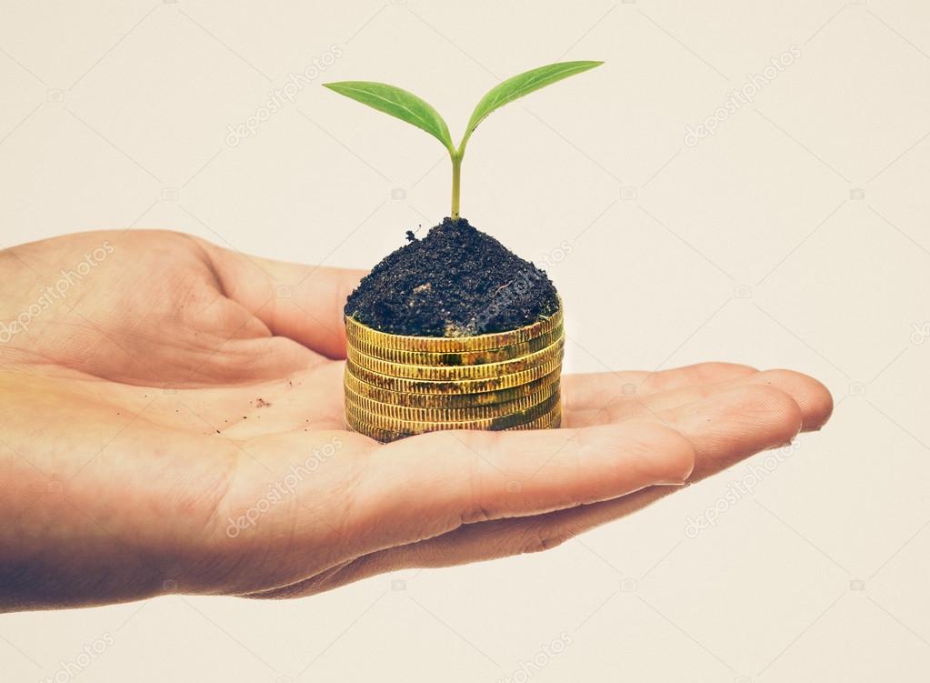 Hand holding a tree growing on coins