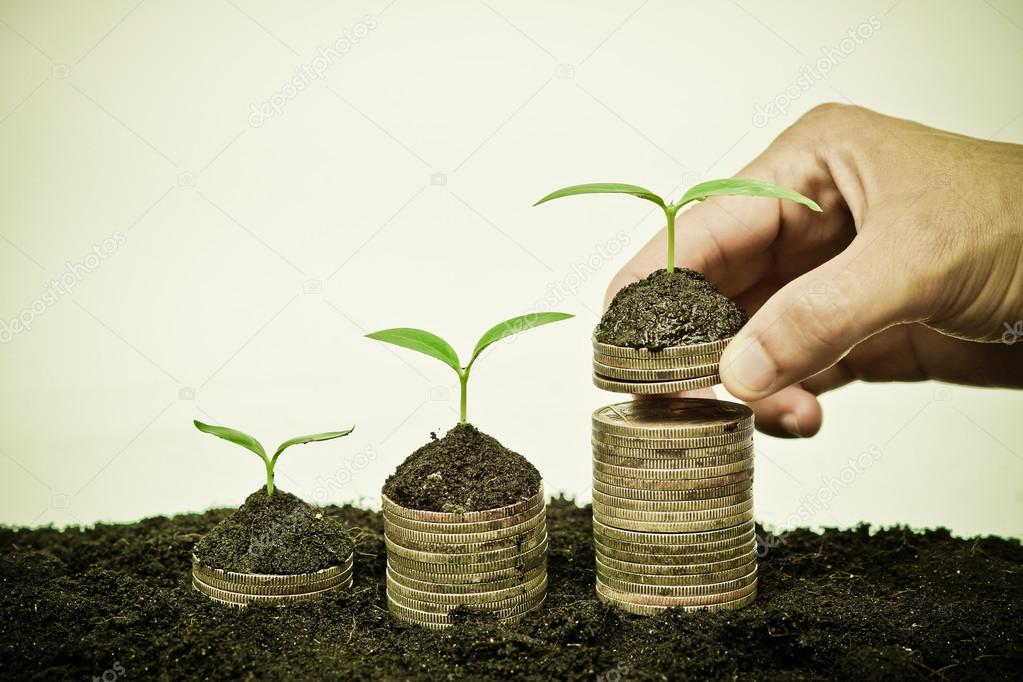 Hand holding stack of golden coins with young green trees