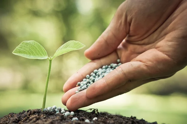 Fertilizante para plantar no solo — Fotografia de Stock