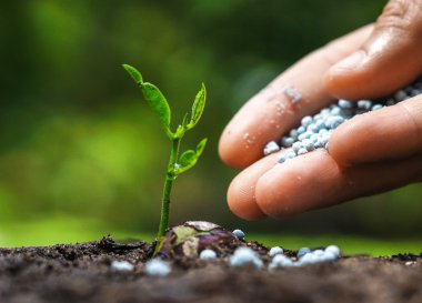 fertilizer to plant on soil clipart