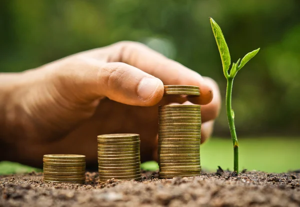 Pilas de monedas en forma de gráfico —  Fotos de Stock