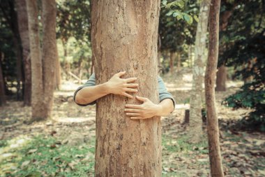 adam büyük bir ağaç sarılma