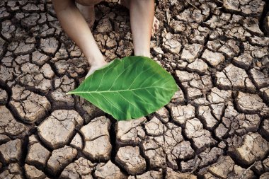 büyük yeşil yaprak holding eller