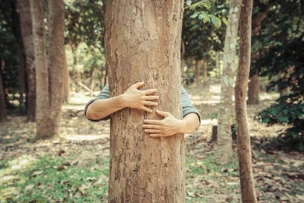 Man die een grote boom knuffelen — Stockfoto