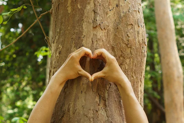 Hands forming a heart shape — Stock Photo, Image