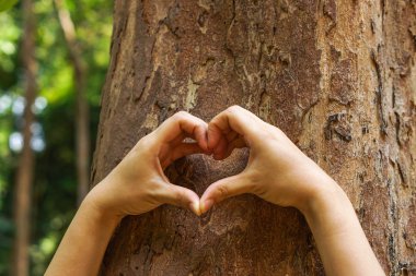 Eller kalp şekli oluşturuyor.