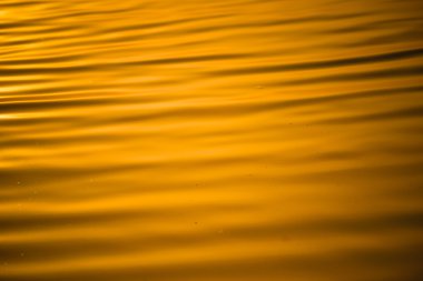 Bulanıklık hareket su