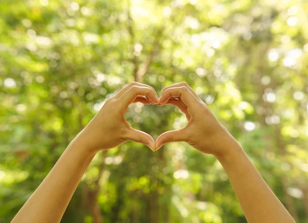 Manos formando una forma de corazón —  Fotos de Stock