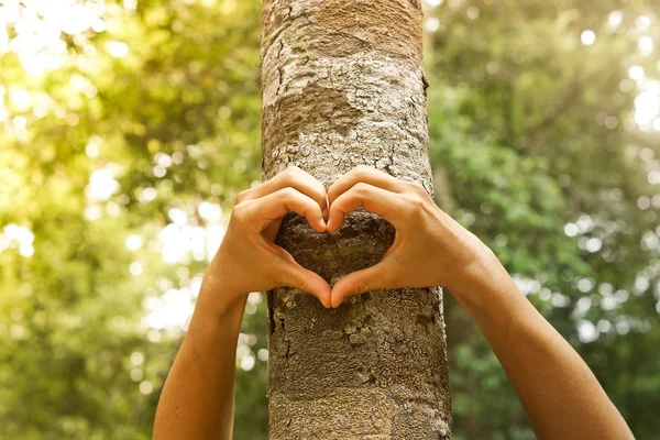 Manos formando una forma de corazón —  Fotos de Stock