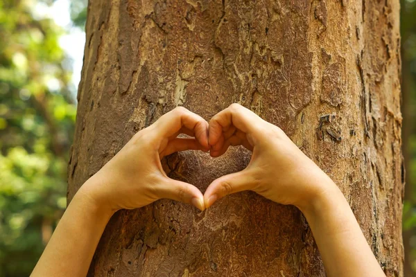 Hands forming a heart shape — Stock Photo, Image