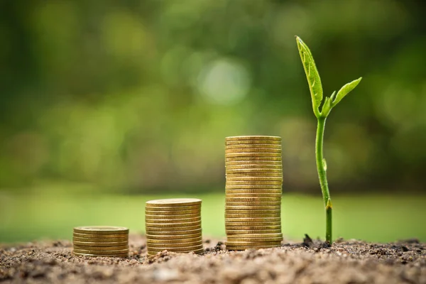 Trees growing on coins — Stock Photo, Image
