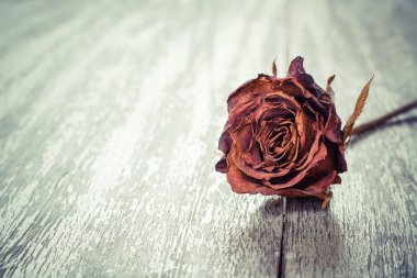ahşap tahta üzerinde kurutulmuş gül