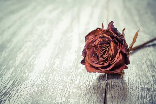 Rose séchée sur planche de bois — Photo