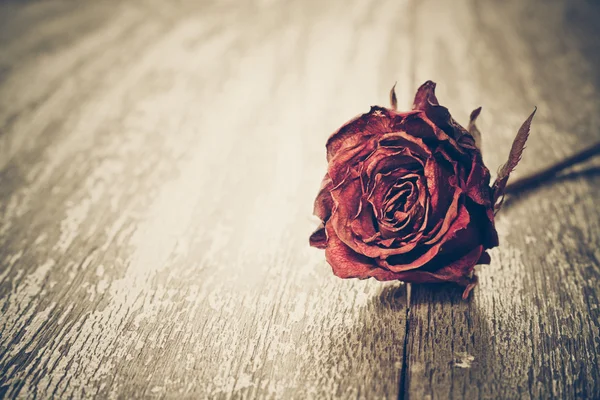 Getrocknete Rose auf Holzplanke — Stockfoto