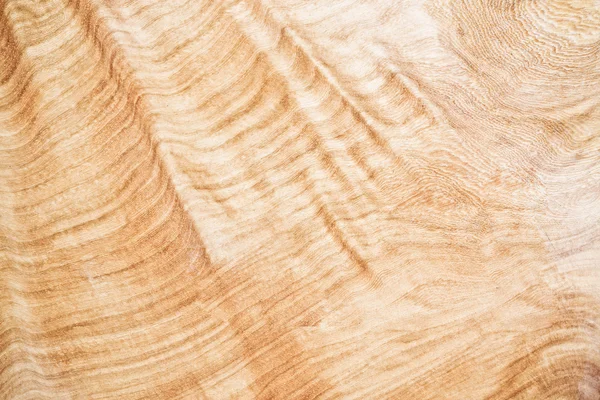 Modello in legno naturale — Foto Stock