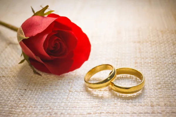 Dos anillos de boda — Foto de Stock