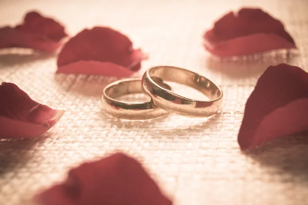 Dos anillos de compromiso — Foto de Stock