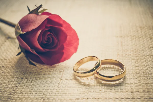 Dos anillos de boda — Foto de Stock