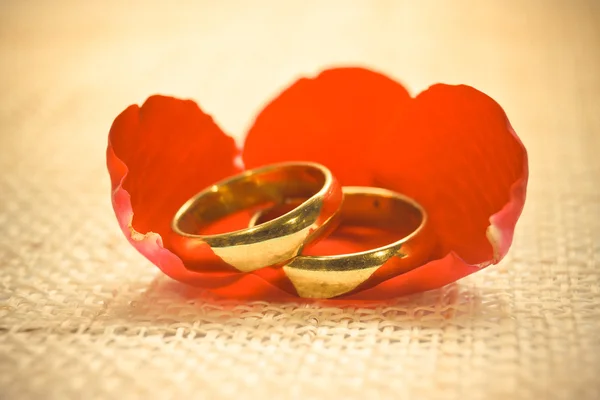 Dos anillos de compromiso —  Fotos de Stock