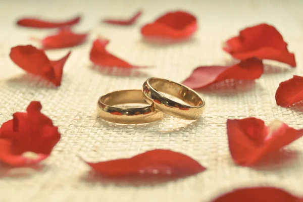 Dos anillos de compromiso — Foto de Stock