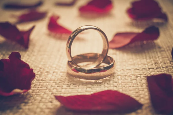 Dos anillos de compromiso —  Fotos de Stock