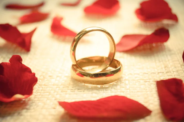 Dois anéis de noivado — Fotografia de Stock