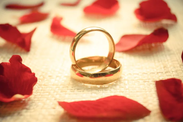 Dos anillos de compromiso —  Fotos de Stock