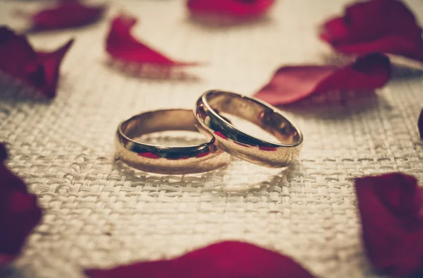 Dos anillos de compromiso — Foto de Stock