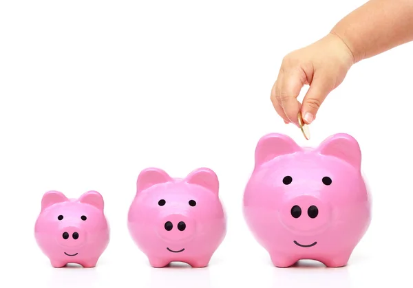 Golden coin to three piggy banks — Stock Photo, Image