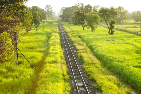 Spoorlijn bijhouden met groene planten — Stockfoto