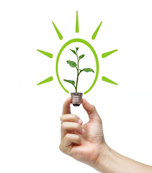 Ruka držící žárovky s zelených rostlin — Stock fotografie