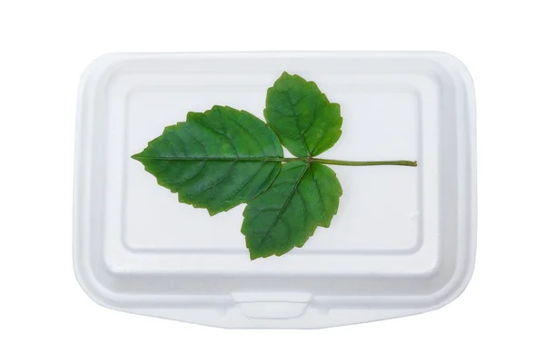 Green leaves on paper food box — Zdjęcie stockowe
