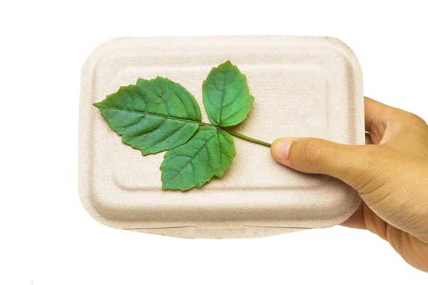Feuilles vertes sur boîte à nourriture en papier — Photo