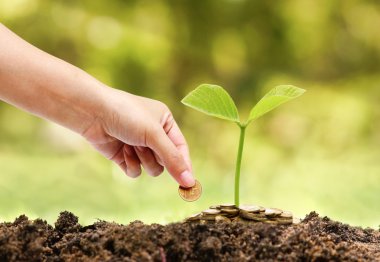 Csr uygulama ile iş