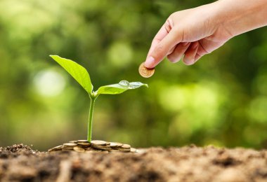 Csr uygulama ile iş