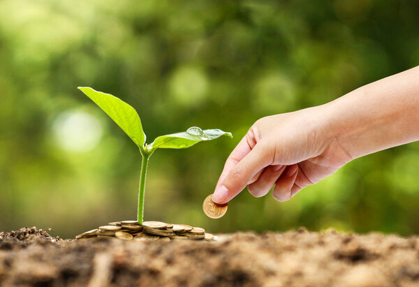 Бизнес с практикой csr
