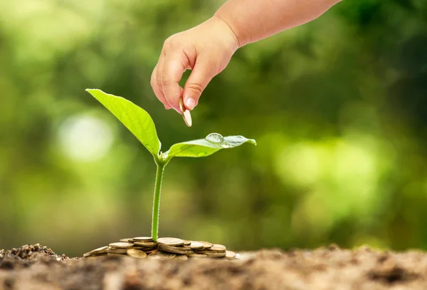 Negócios com a prática csr — Fotografia de Stock