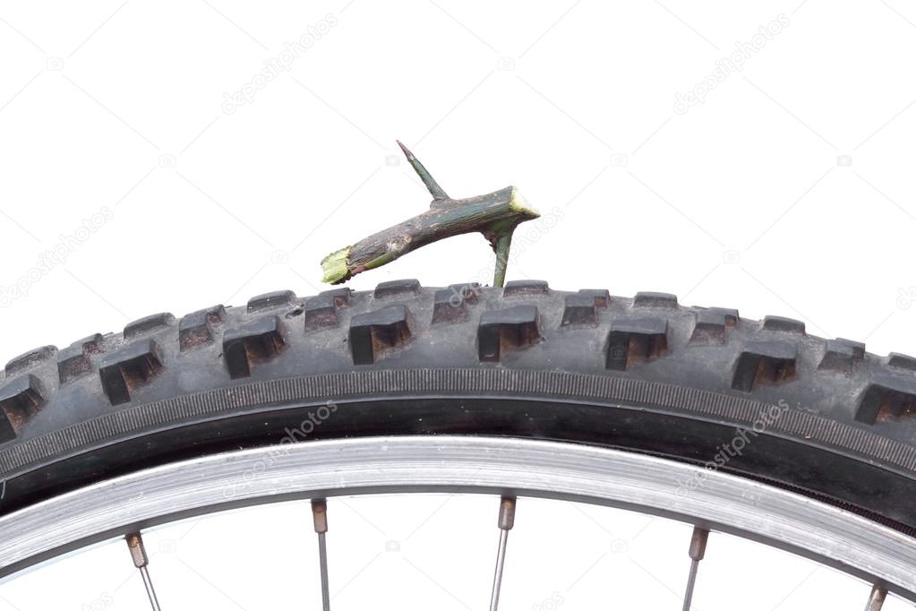 bicycle tyre puncture due to a thorn bush