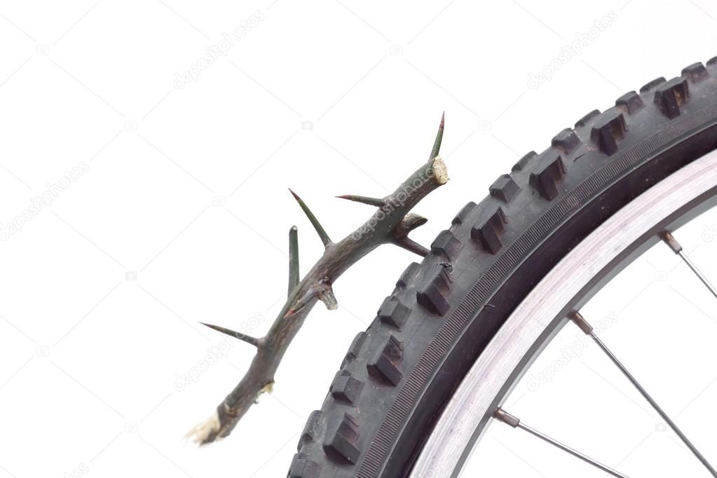 bicycle tyre puncture due to a thorn bush