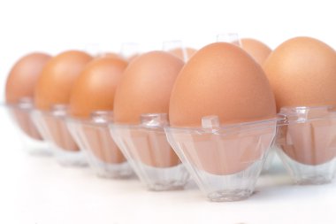 tavuk yumurtası içinde plastik tepsi